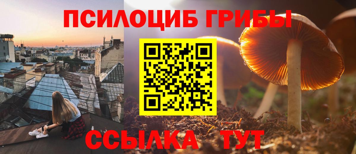 Псилоцибиновые грибы Cubensis  Псилоцибиновые грибы GOLDEN TEACHER  где купить наркоту  Вход с VPN  Всеволожск 